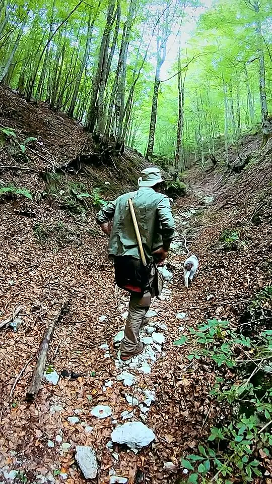 Vittorio sale un canalone di pietre, i cani davanti